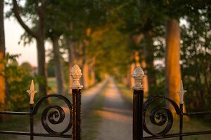 Why Wrought Iron Fences Are So Great