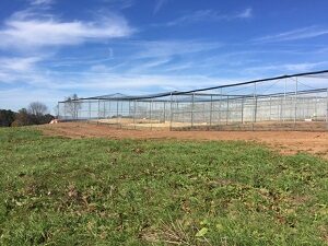 Hercules Fence Does Its Part to Save the Whooping Cranes